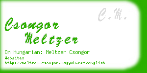 csongor meltzer business card